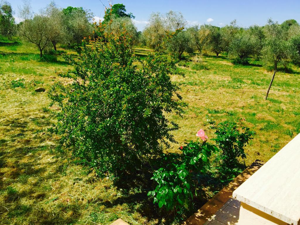 Country House Maremma Nel Tufo Πιτιλιάνο Εξωτερικό φωτογραφία